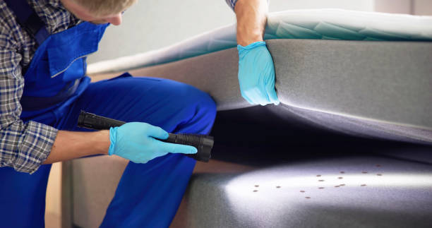 Professional Pest Control in Vidor, TX