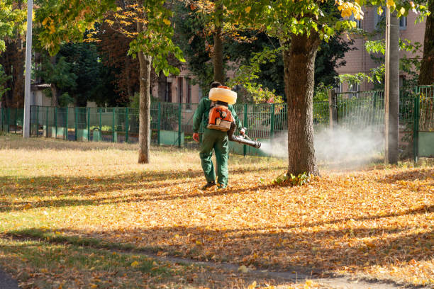 Best Mosquito Control Services  in Vidor, TX