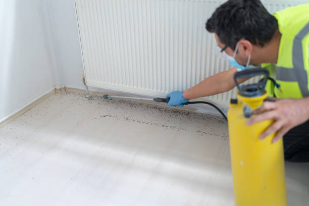 Best Residential Pest Control  in Vidor, TX